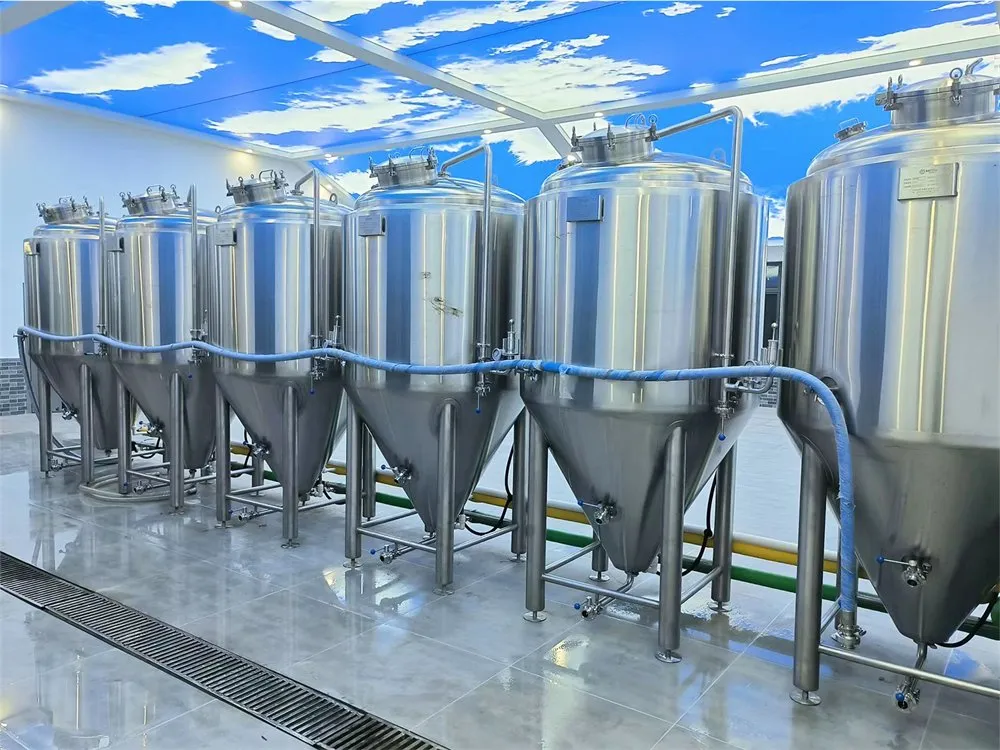 200L 300L 500L Машина для пивоварения из нержавеющей стали на продажу 3