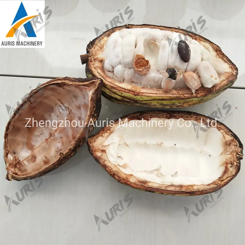 Профессиональная машина для лома какао-бобов ADX-400A/ADX-400B 6