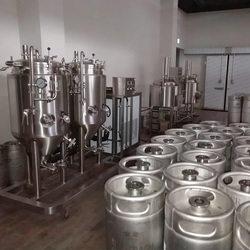 50L 100L Мини-система для пивоварения Beer Pilot Brewing Equipment для домашнего хобби 6