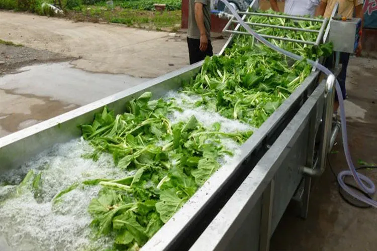 Профессиональная машина для мойки и очистки фруктов и овощей с воздушными пузырьками 5