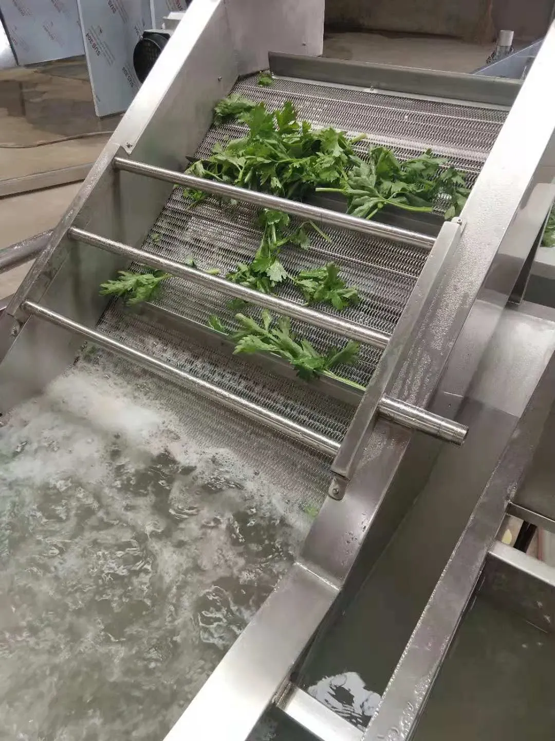 Профессиональная машина для мойки и очистки фруктов и овощей с воздушными пузырьками 6