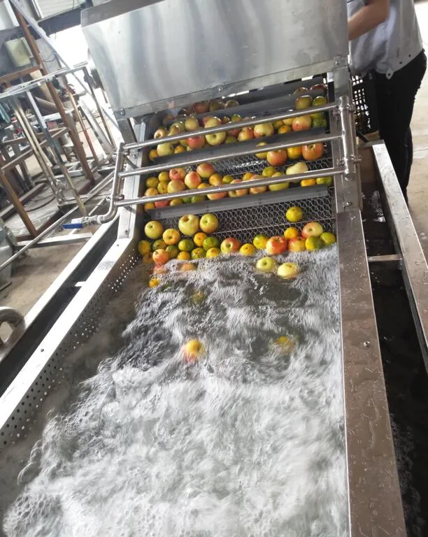 Профессиональная машина для мойки и очистки фруктов и овощей с воздушными пузырьками 3