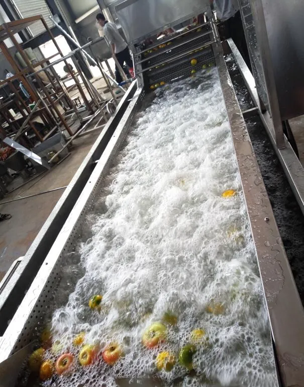 Профессиональная машина для мойки и очистки фруктов и овощей с воздушными пузырьками 2