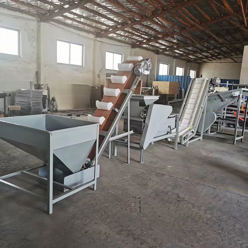 Автоматическая машина для дробления миндаля и абрикосовых косточек 6