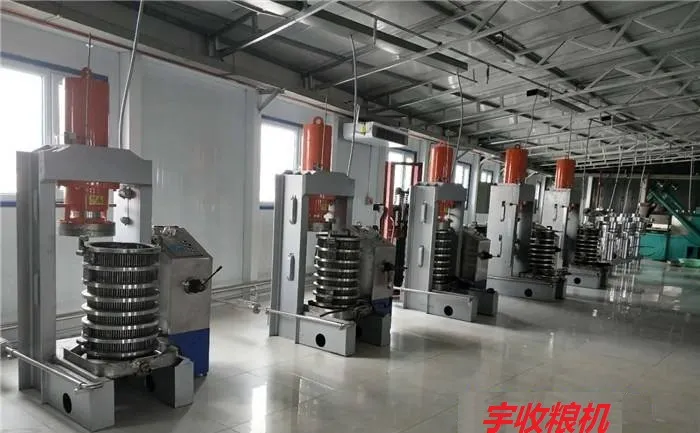 Автоматический гидравлический пресс для масла 6