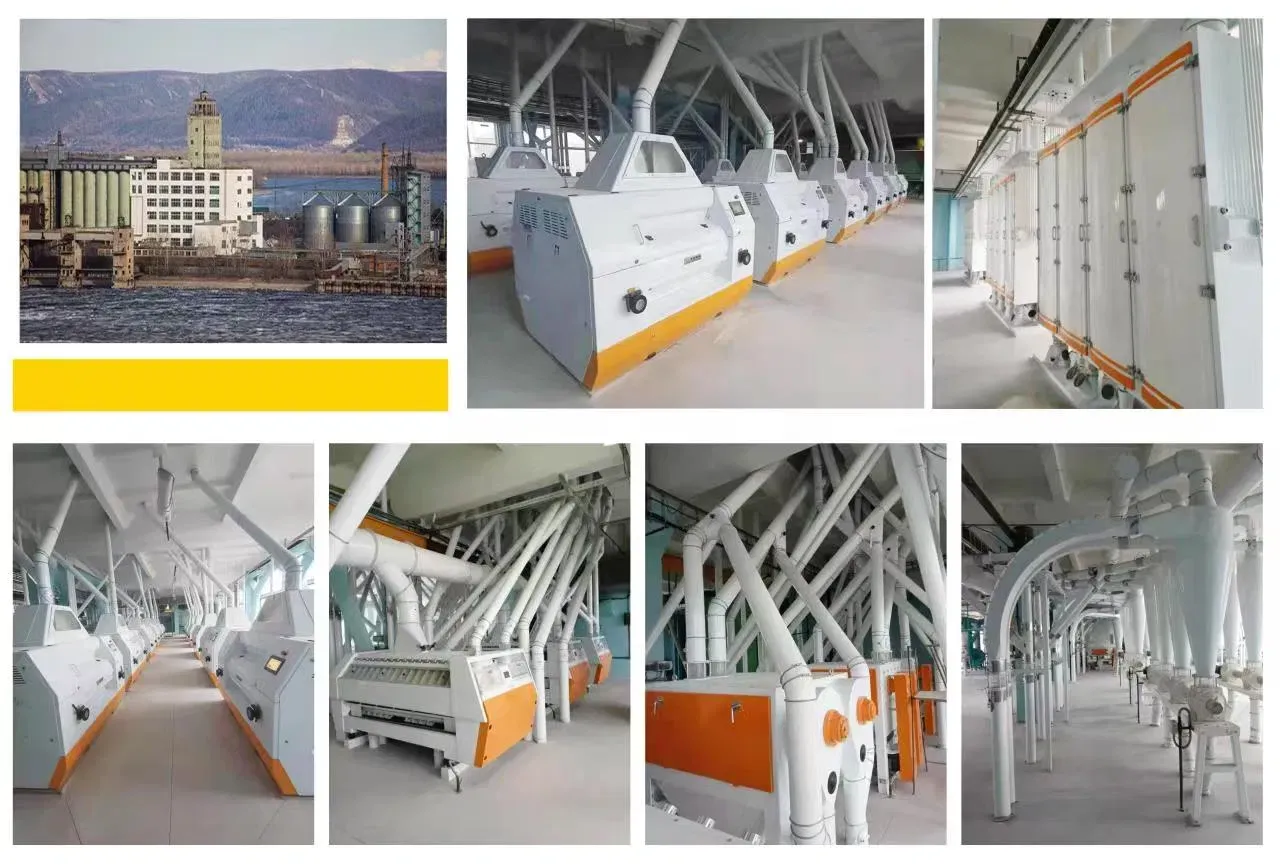 Профессиональная мукомольная мельница 100-500T 2