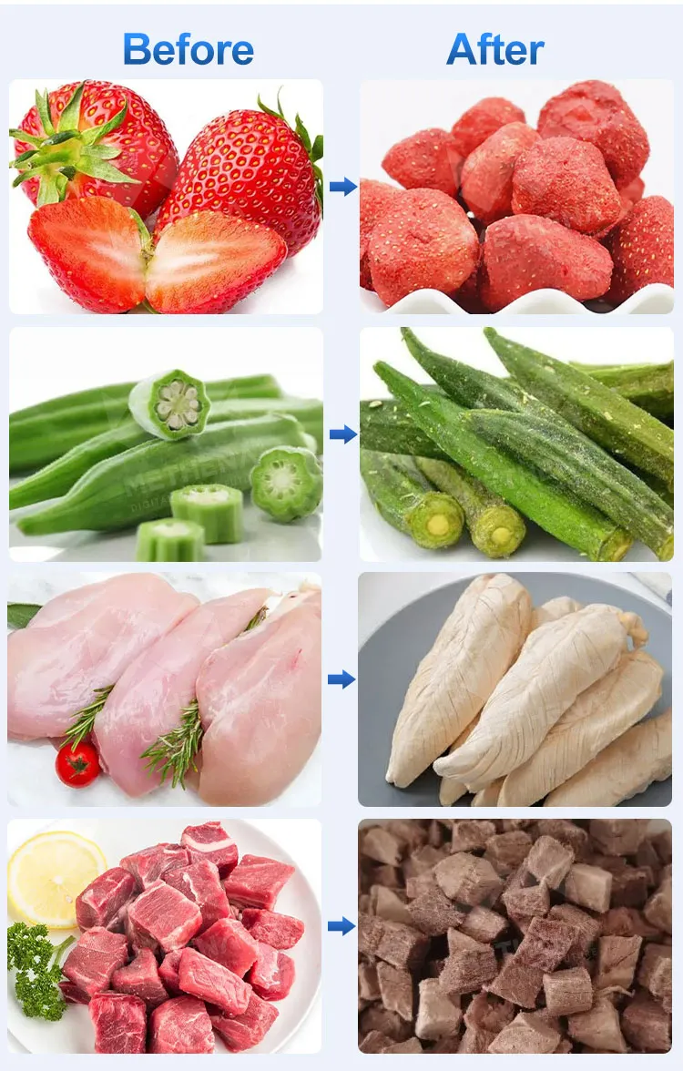 Профессиональная машина для сублимационной сушки продуктов 5