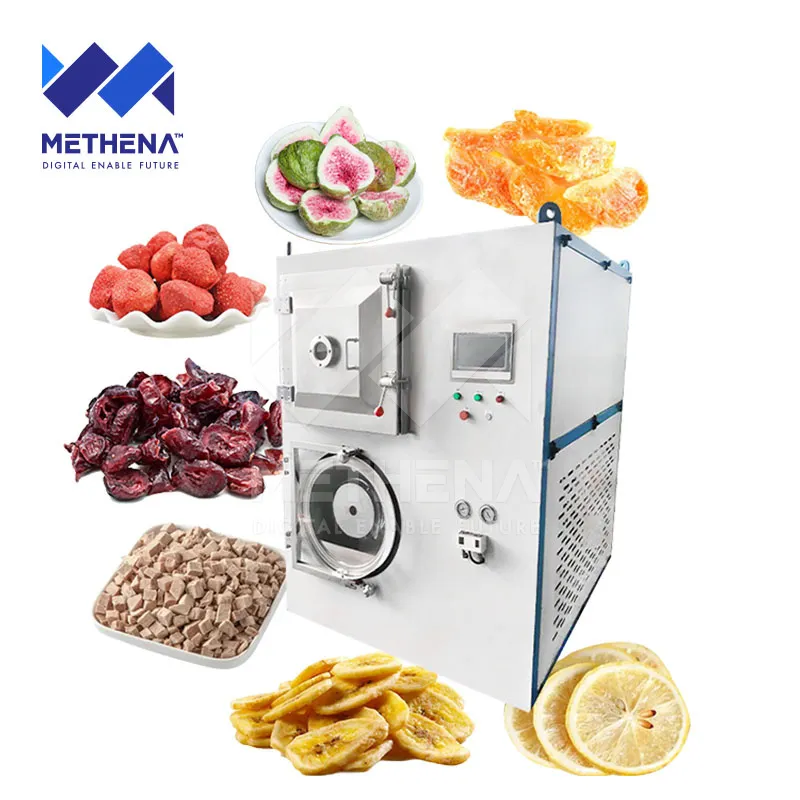 Профессиональная сушилка для заморозки сушеной пищи 2