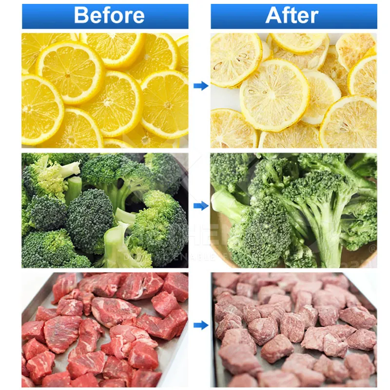 Профессиональная сушилка для заморозки сушеной пищи 6