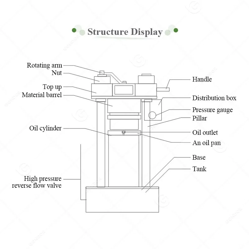 Промышленный холодный маслопресс для масла какао, кокоса, оливы и авокадо 3