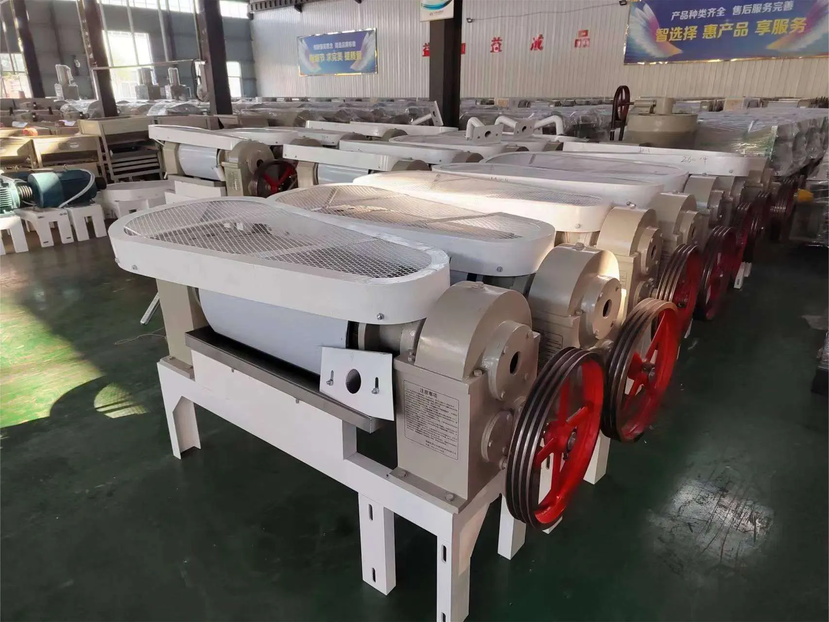 Профессиональная маслопрессовая машина из нержавеющей стали FL-Arya 4