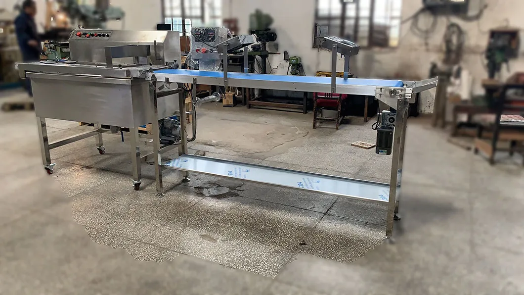 Машина для обсыпки сухофруктов и линия для покрытия мороженого шоколадом 3