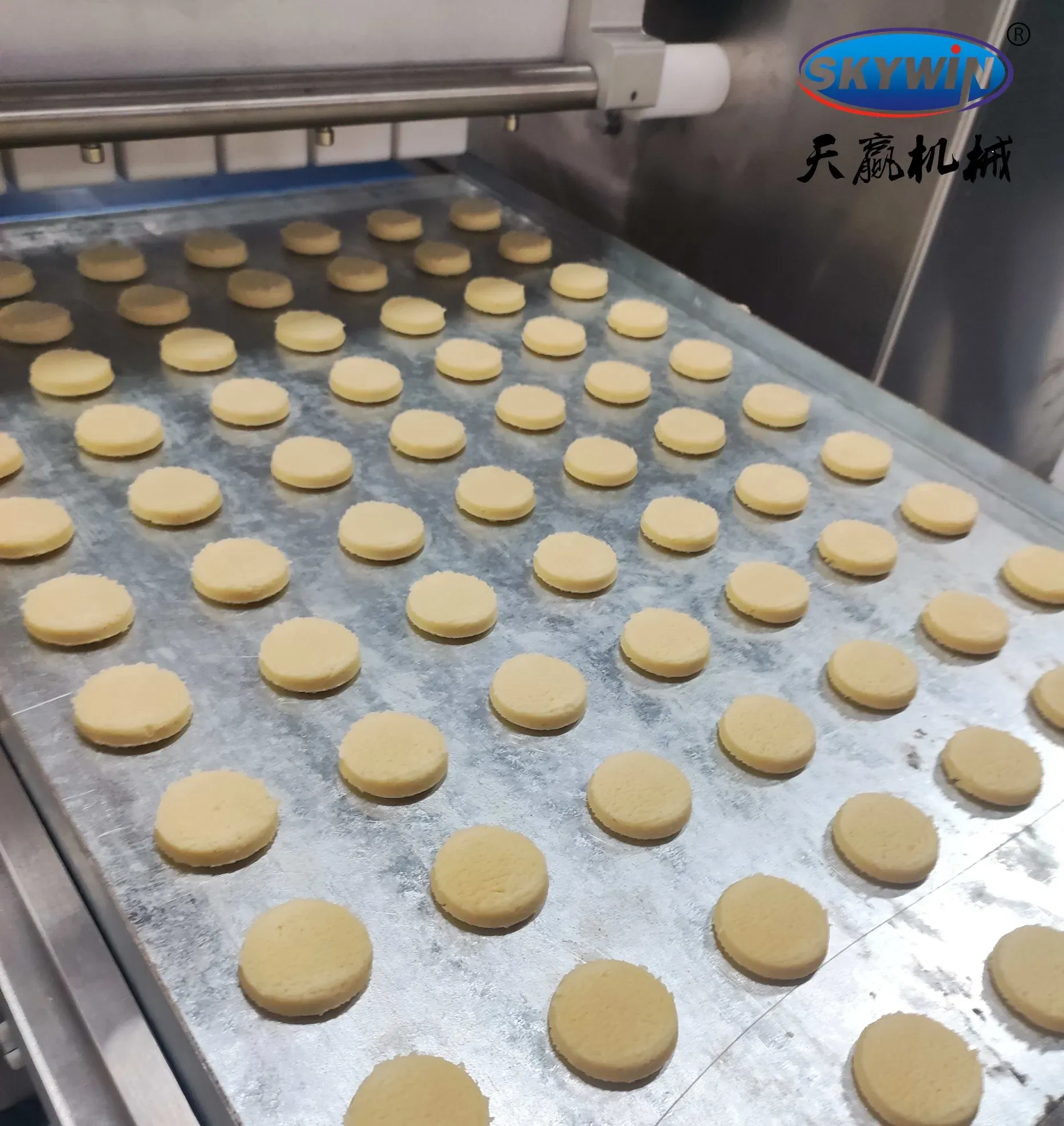 Полуавтоматическая машина для производства печенья из нержавеющей стали 304 4