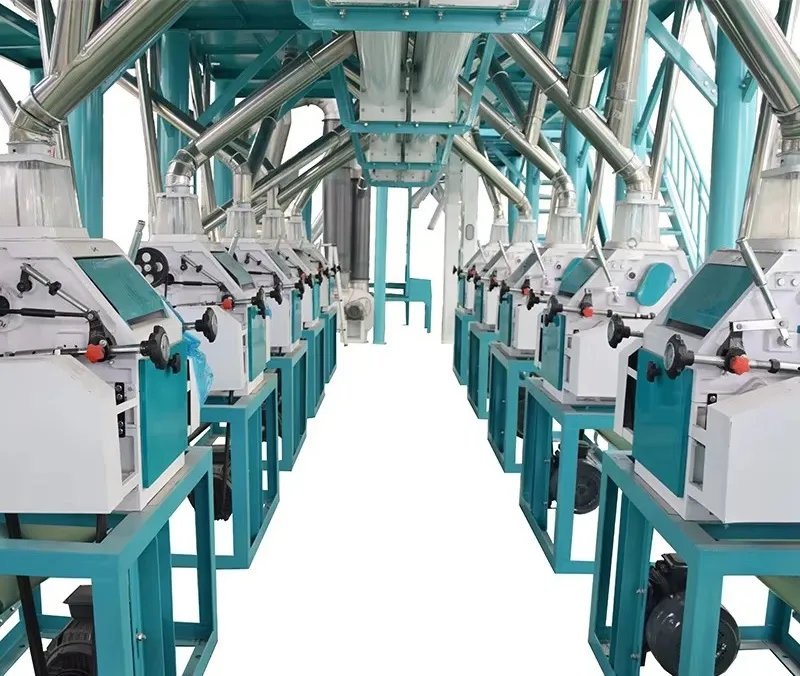 Мельница для кукурузы и пшеницы 30-50 т/сутки 6