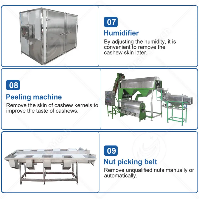 Автоматическая линия переработки кешью 4
