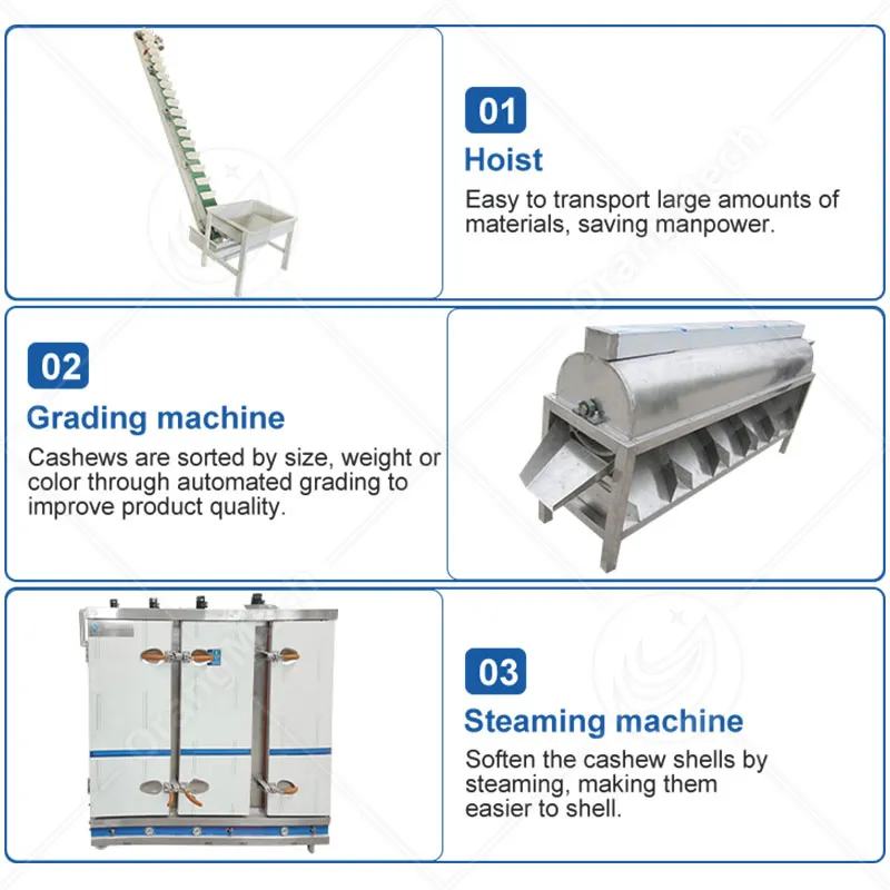 Автоматическая линия переработки кешью 2