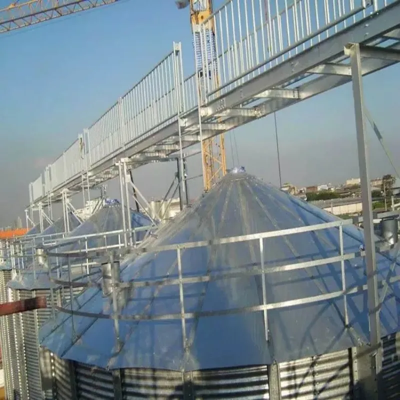 Гальванизированный нержавеющий стальной силос для хранения семян 4