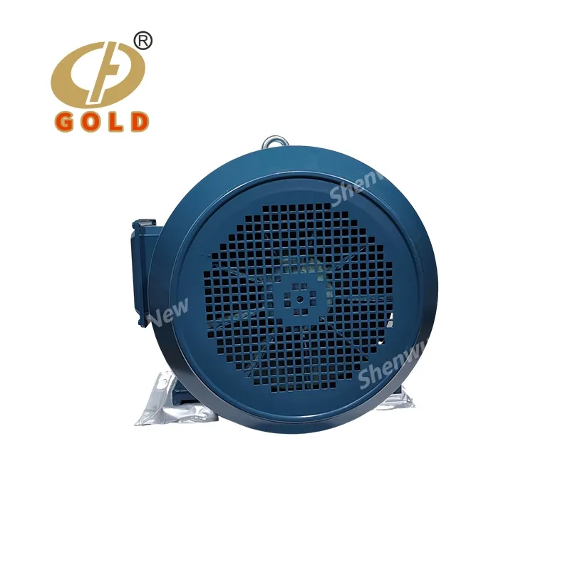 Золотой Премиум Надежный 3 Фазный Асинхронный Электродвигатель 6