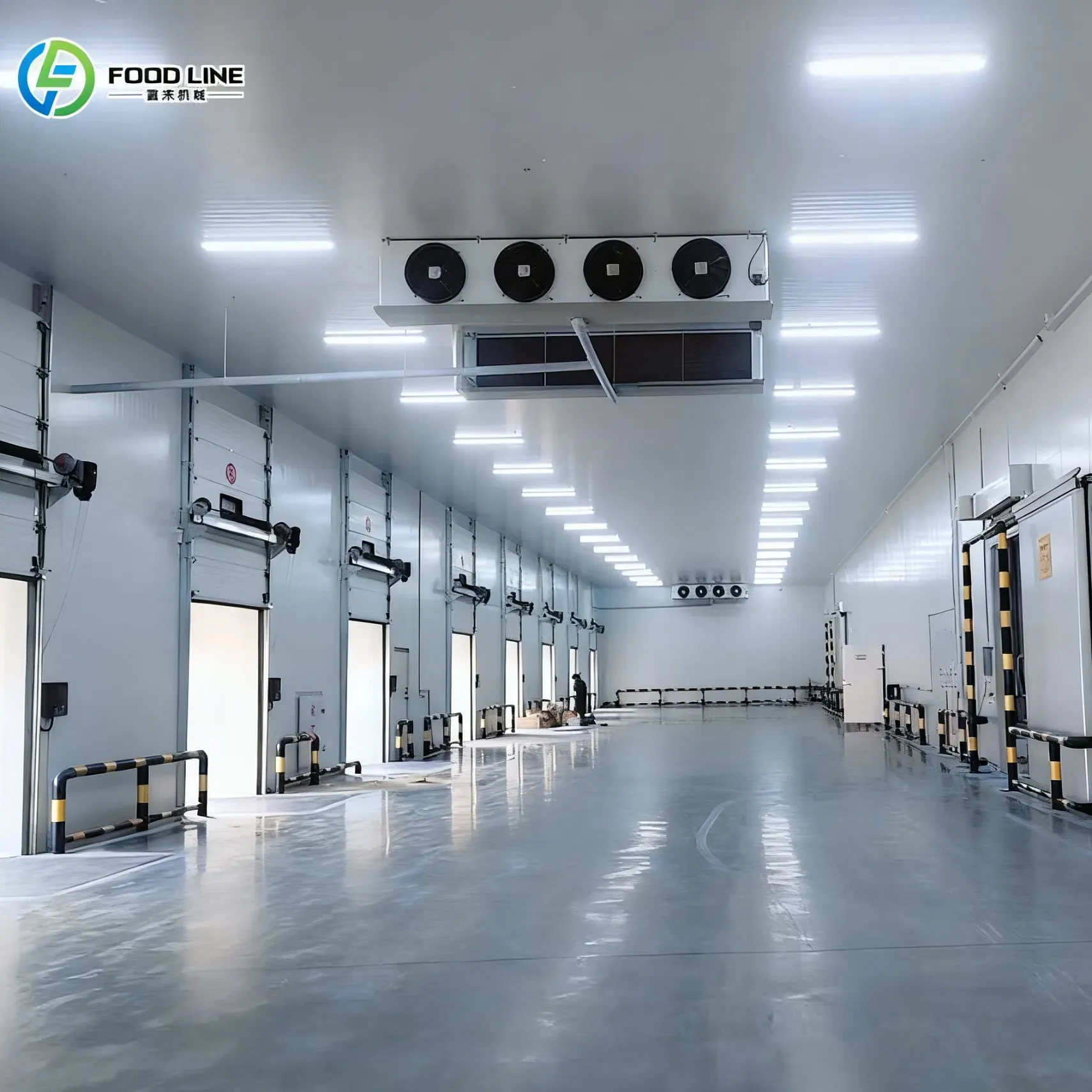 Высокая эффективность индивидуально настроенной морозильной камеры 40 футов для овощей или фруктов 3