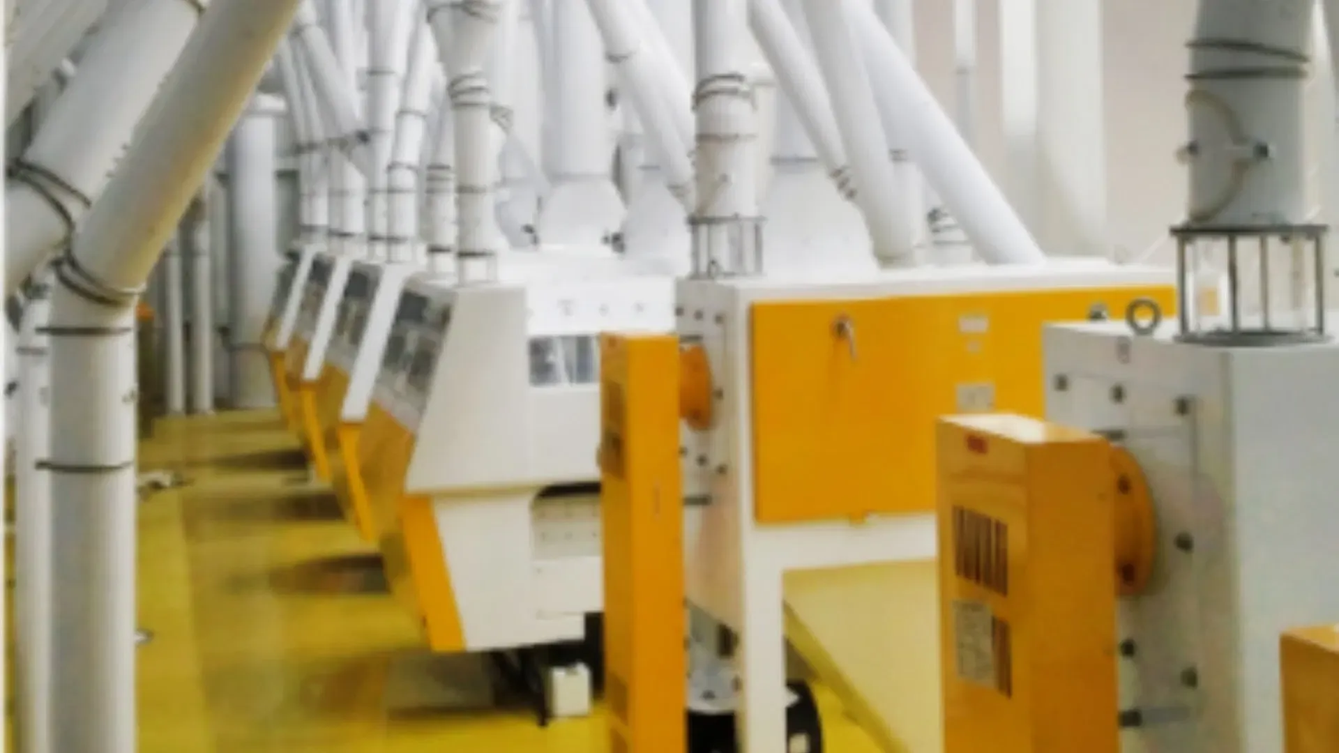 Пшеничный скребок FDMW от китайского поставщика 6