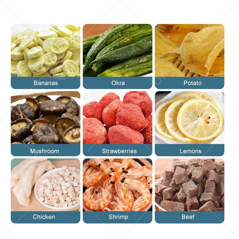 Промышленная машина для сублимационной лиофилизации 6