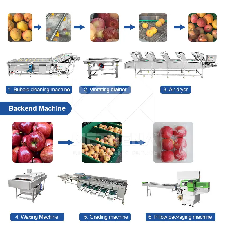 Промышленная мойка овощей и фруктов 3