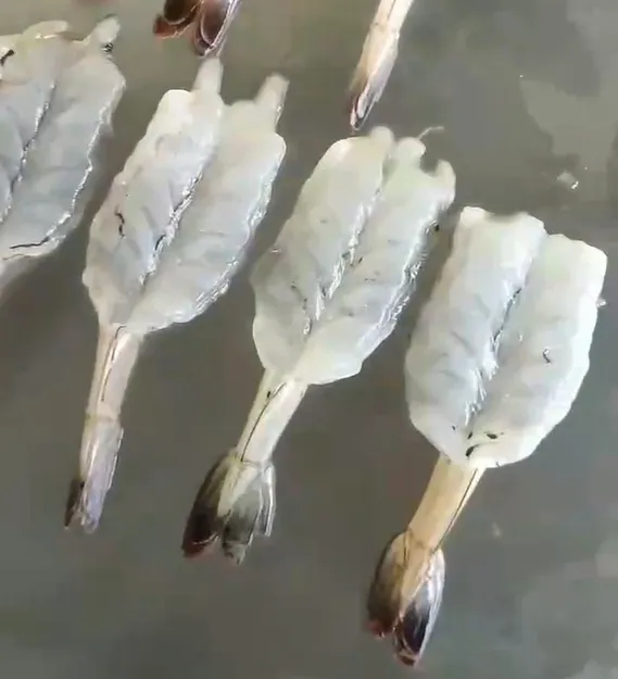 Профессиональная машина для нарезки креветок с задним открытием 4