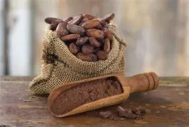 Лабораторная машина для конширования шоколада 5