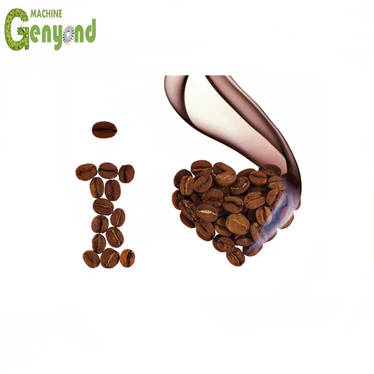 Профессиональный кофейный обжарщик GYCR 3