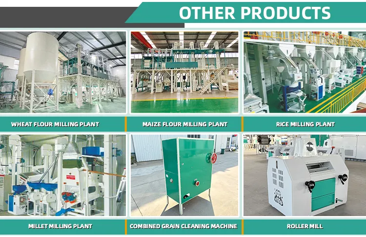 Мукомольная мельница SSM-5TPD для производства кукурузной муки 3