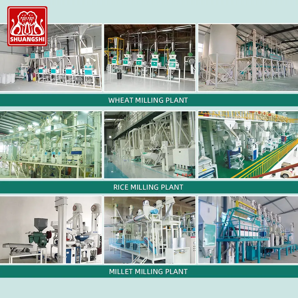 Мукомольная мельница SSM-5TPD для производства кукурузной муки 5