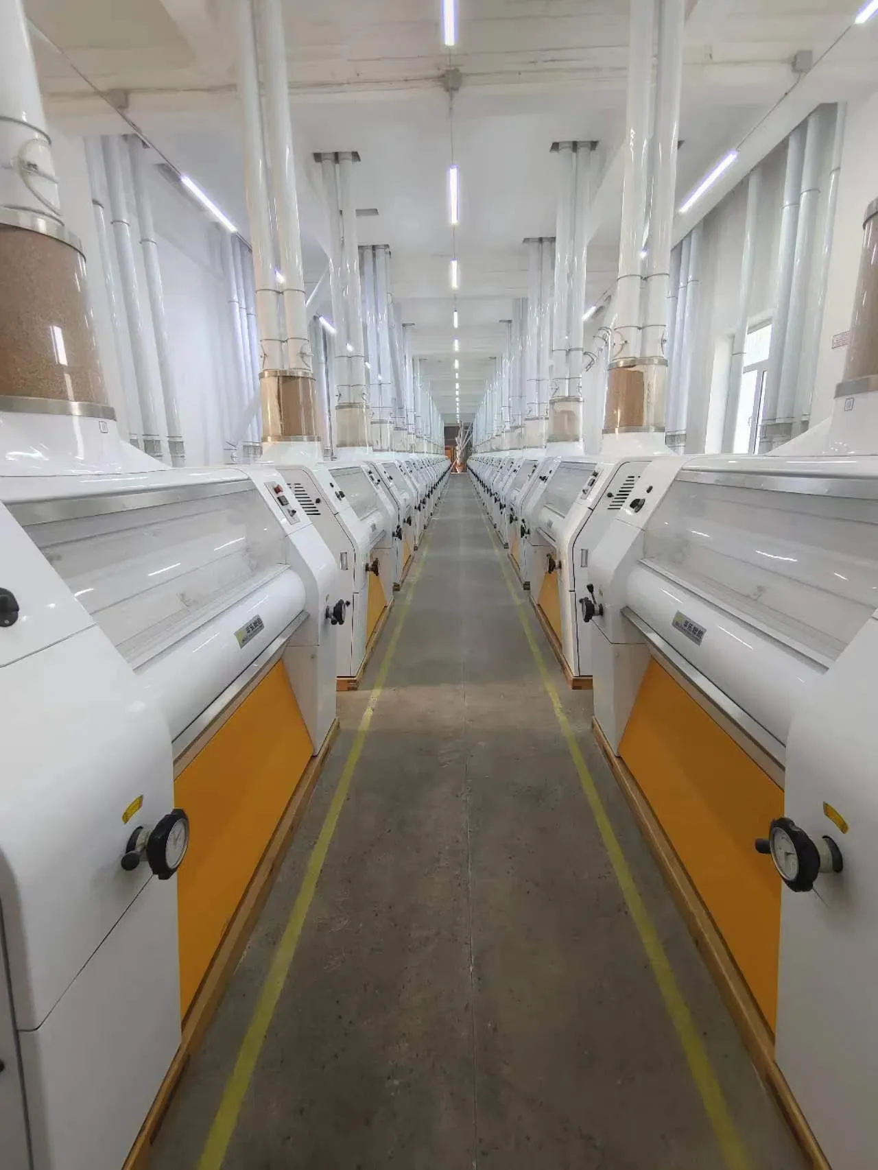 Пингл 500 тонн в день мукомольной мельницы 3