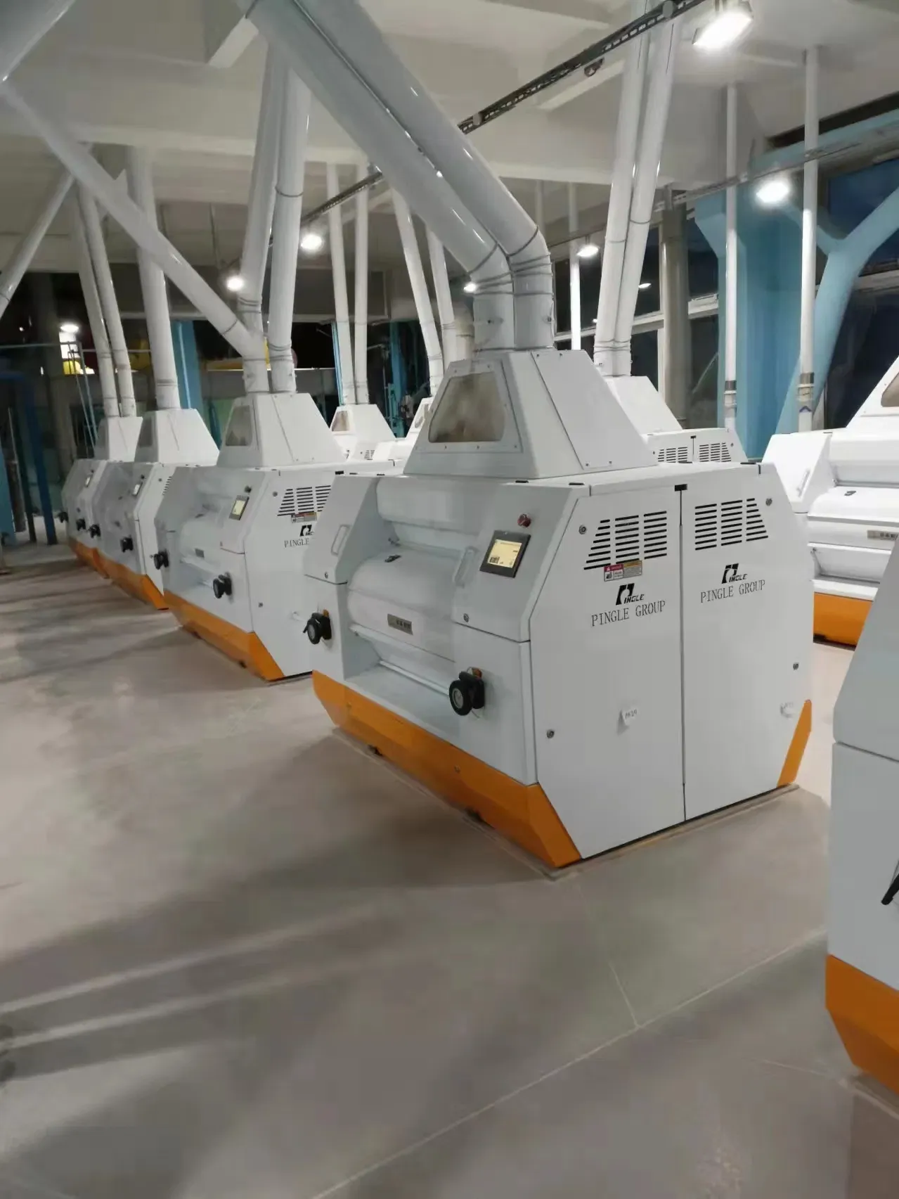 Пингл 500 тонн в день мукомольной мельницы 2