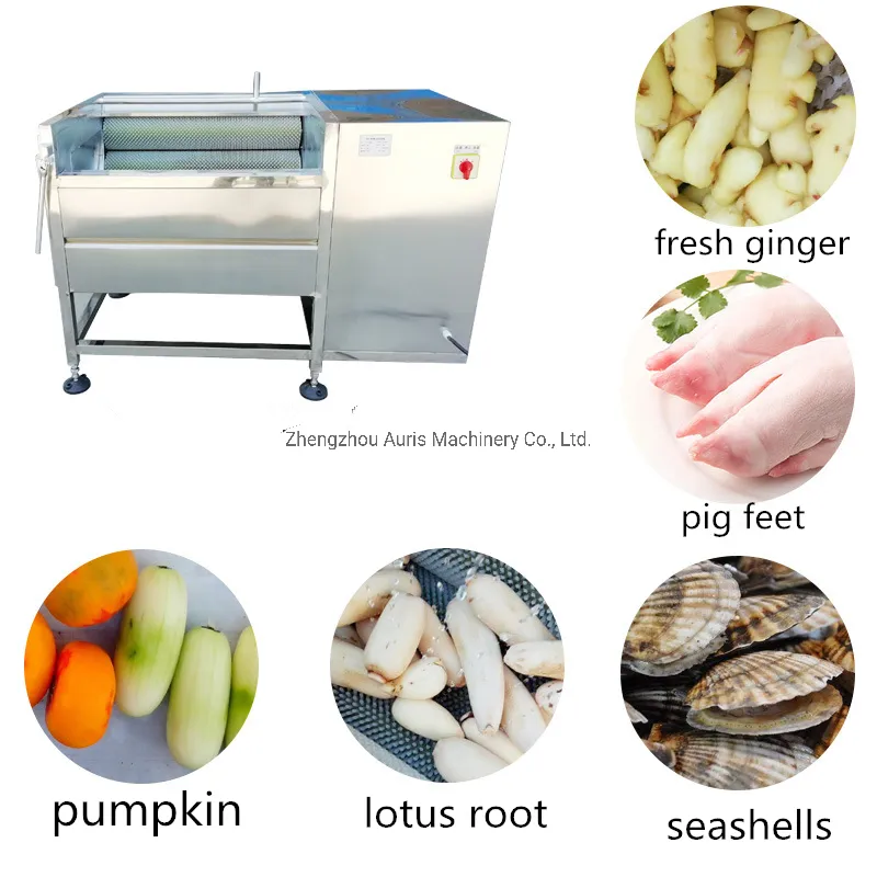 Профессиональная машина для мытья и очистки корнеплодов и овощей