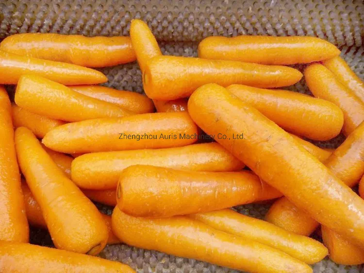 Профессиональная машина для мытья и очистки корнеплодов и овощей 6