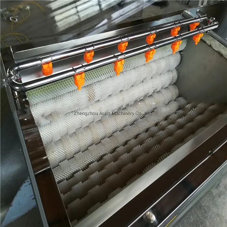 Профессиональная машина для мытья и очистки корнеплодов и овощей 4