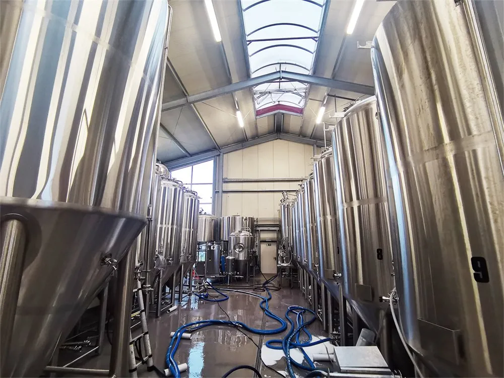 Конусная ферментер SUS304 300L-2000L для микро-пивоварни 4