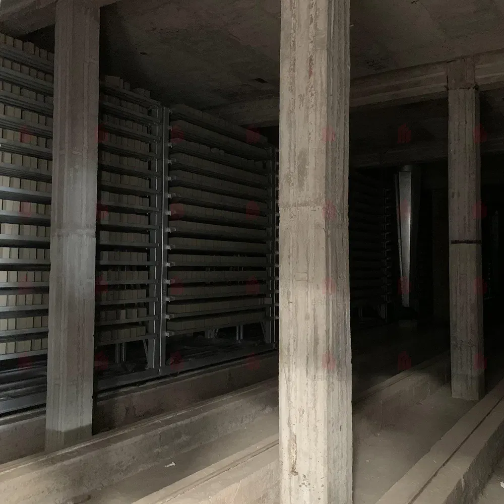 Однослойный туннельный сушильный кирпичный аппарат с низкими инвестициями и простым управлением 2