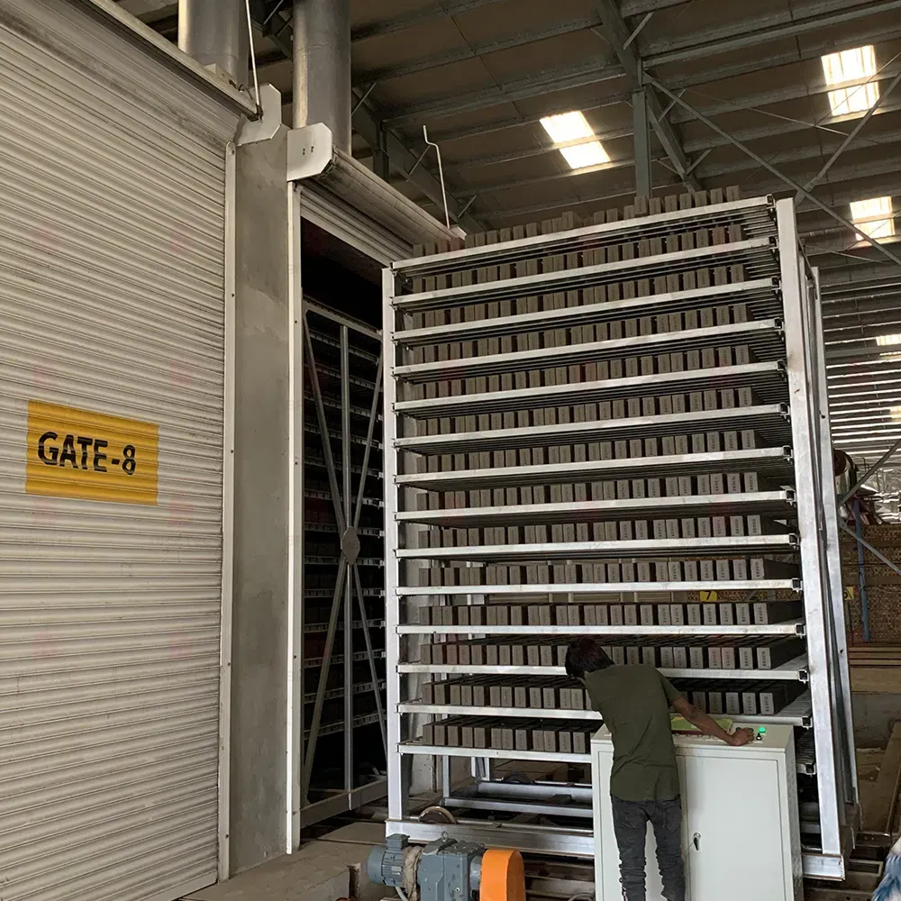 Однослойный туннельный сушильный кирпичный аппарат с низкими инвестициями и простым управлением 3