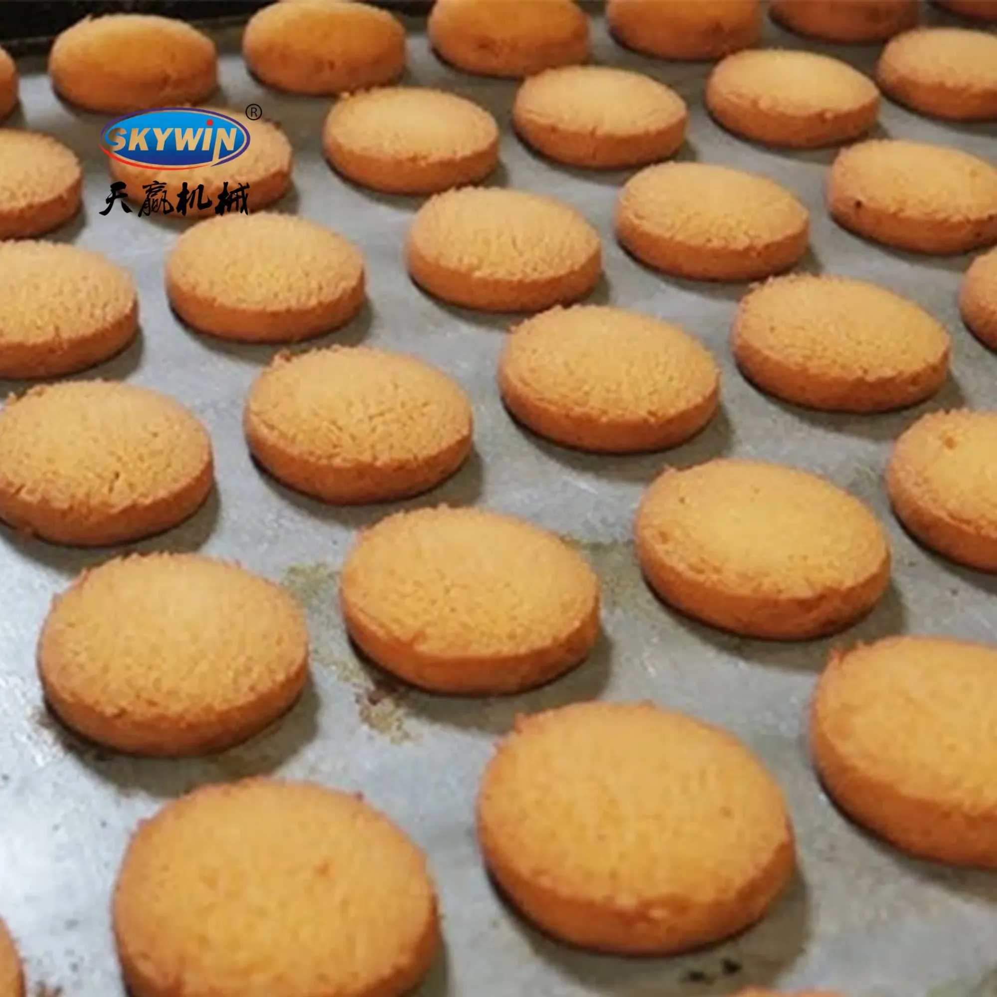 Автоматическая линия по производству печенья Skywin Foodstuff 6