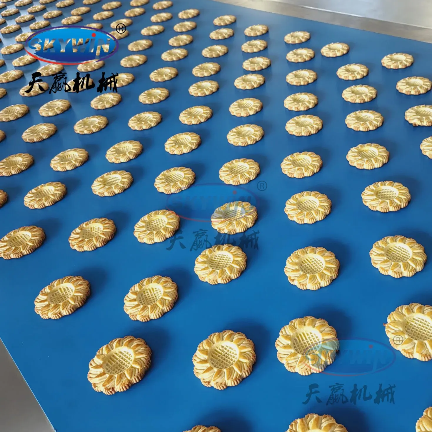 Автоматическая линия производства мягких печений Skywin 4