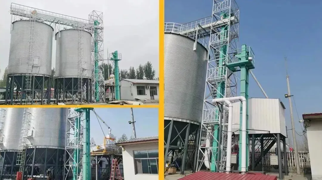 Супер мелкая мука 20 тонн в день мукомольный завод 6