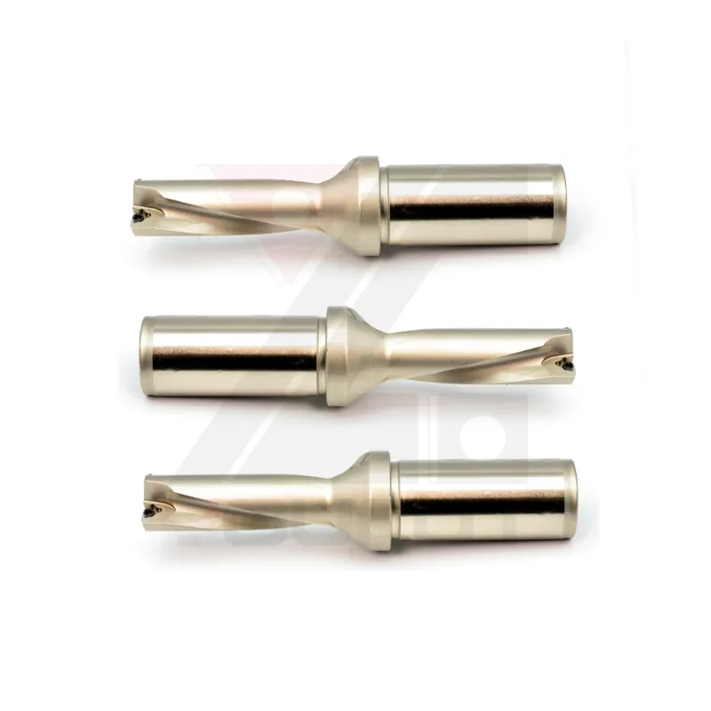 Сверло Udrill SD с вставкой для сверления 2D/3D/4D/5D 4